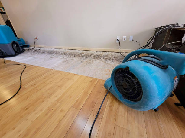 Professional Structural Drying technician working in South Weymouth, MA